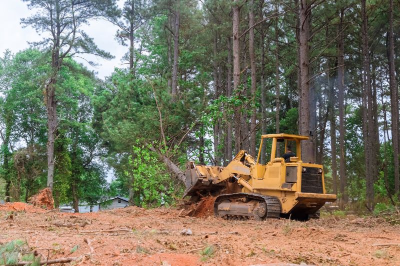Bulldozer Clearing in Gwinnett County, GA