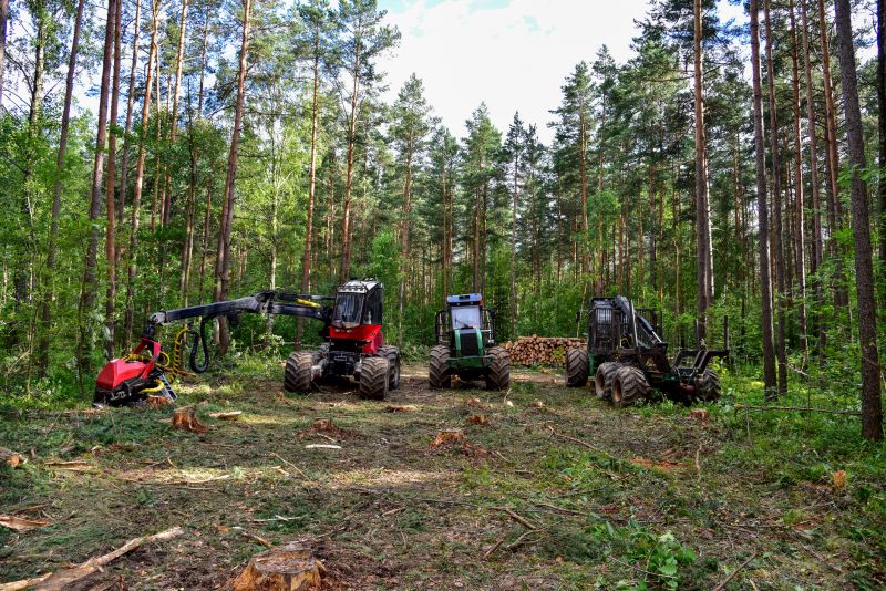 Forestry Clearing in Utah County, UT
