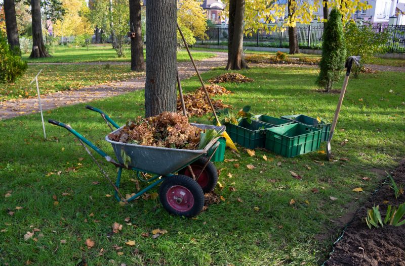 Vegetation Removal