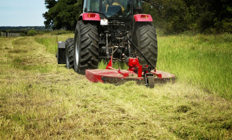 Brush Clearing Service in Gwinnett County, GA