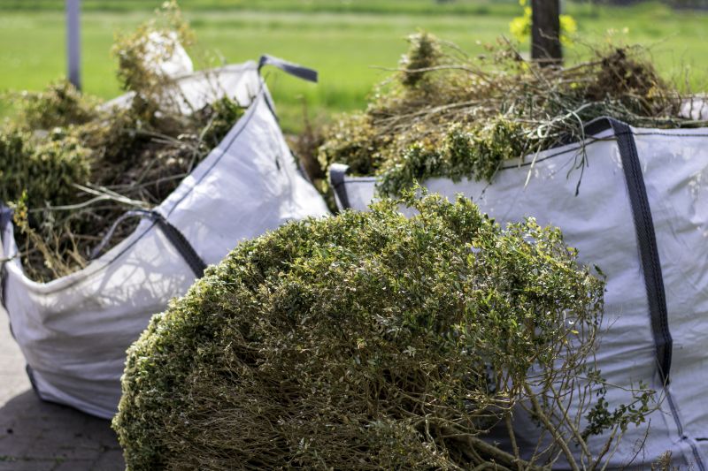 Bushes Clearing in Cumming, GA