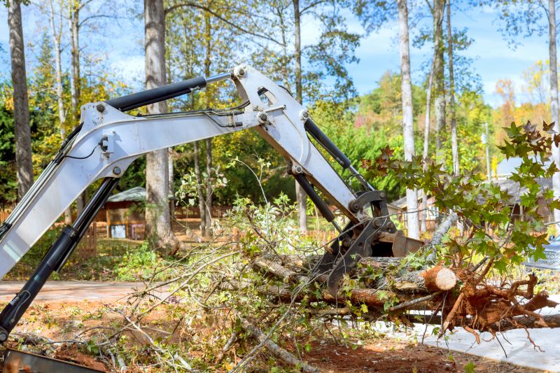 Easement Land Clearing in Houston, TX