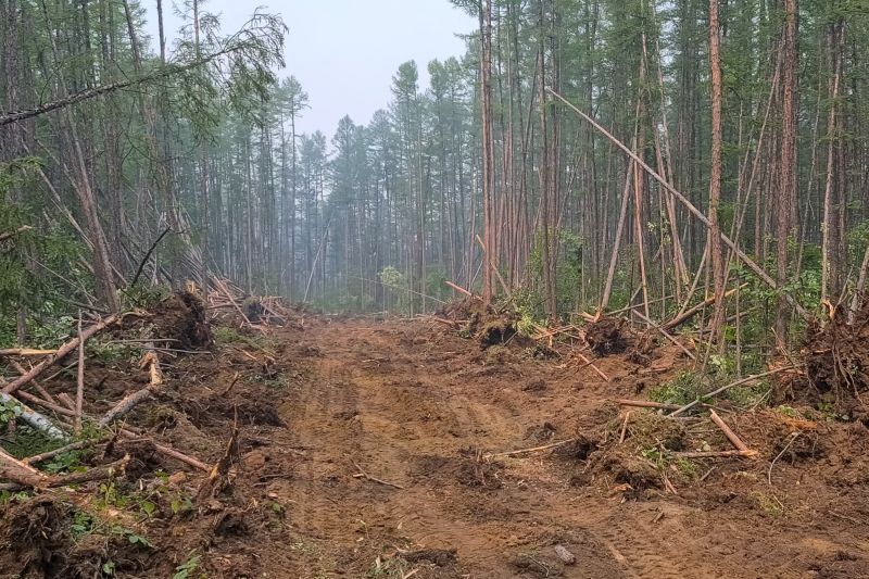 Hill Clearing in Gwinnett County, GA