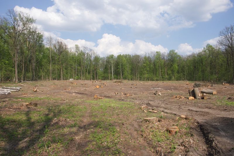 Land Clearing in Cumming, GA