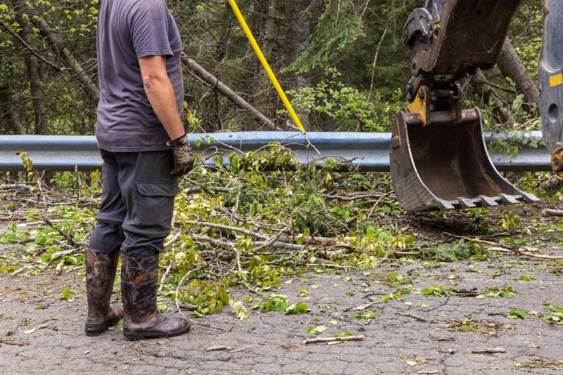 Site Clearing Service in Marietta, GA