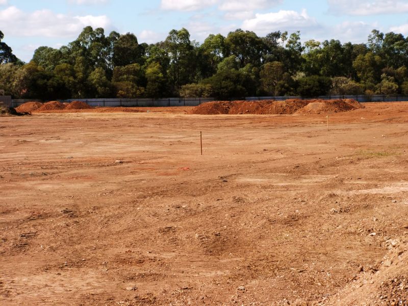Site Preparation Service in Cumming, GA