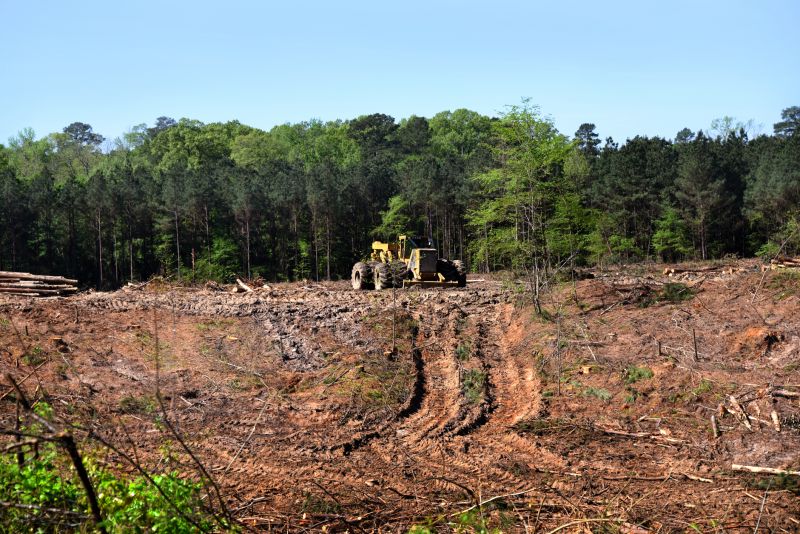 Slope Clearing in Gwinnett County, GA