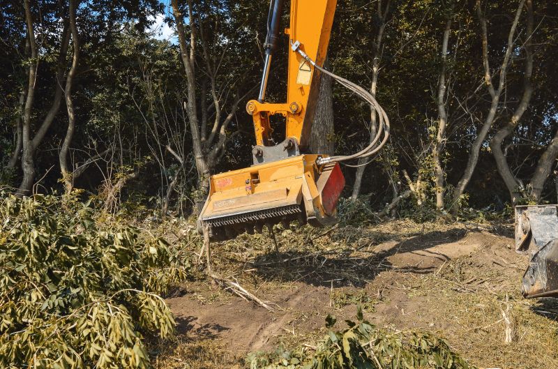 Underbrush Clearing in Salt Lake City, UT