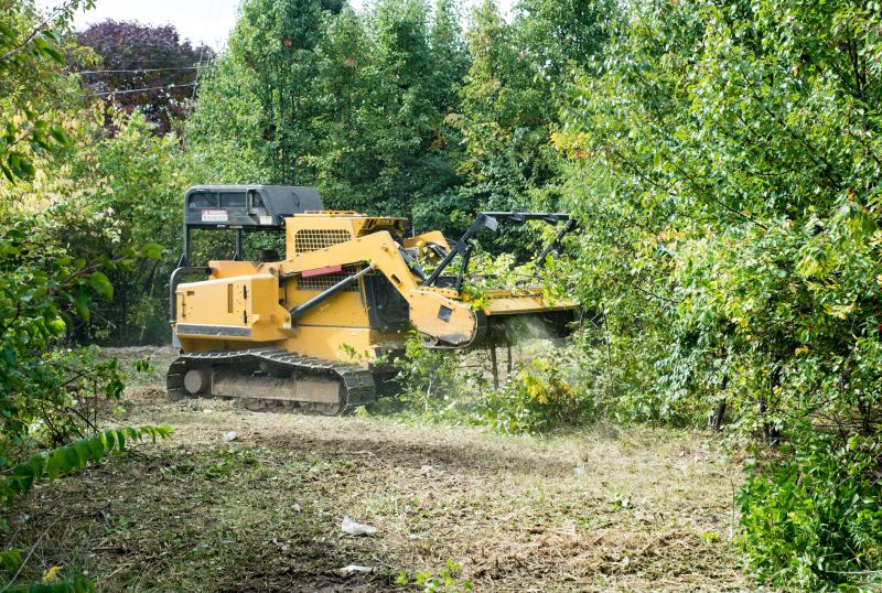 Undergrowth Removal in Atlanta, GA